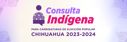 Consulta Indígena 2023