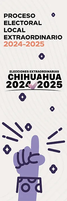 Proceso Electoral Local Extraordinario 2024-2025